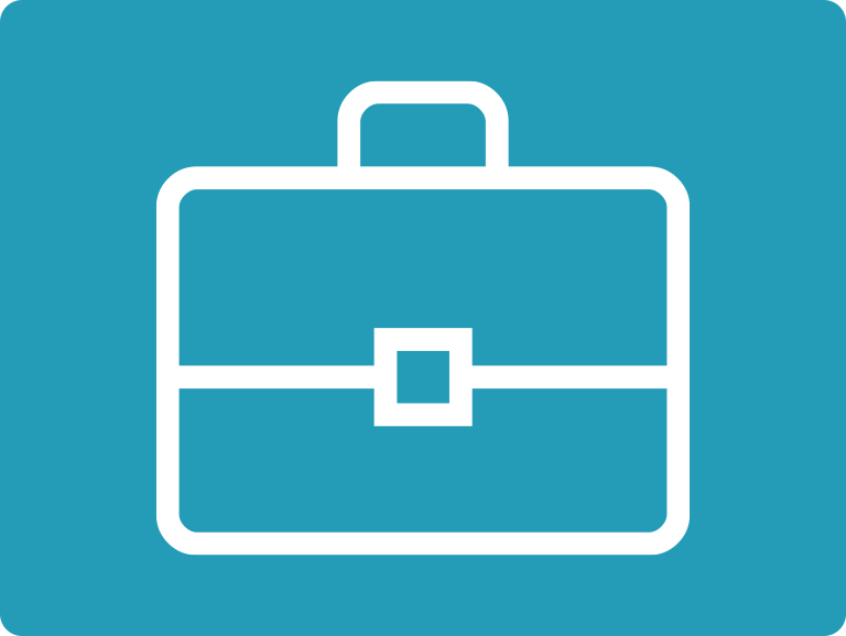 Developing Business Cases Icon