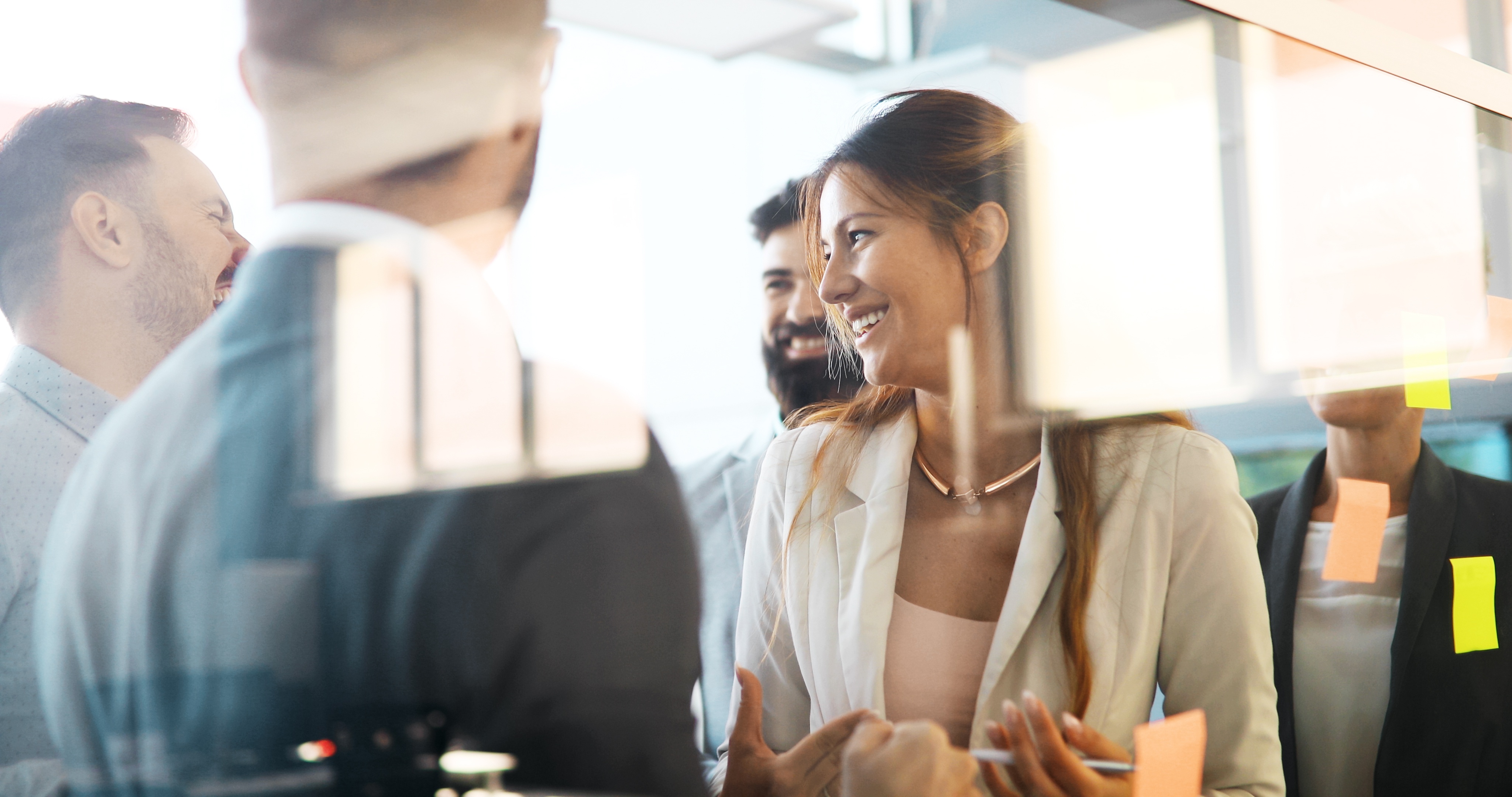 Business Process Reengineering and Business Transformation Enablement Program