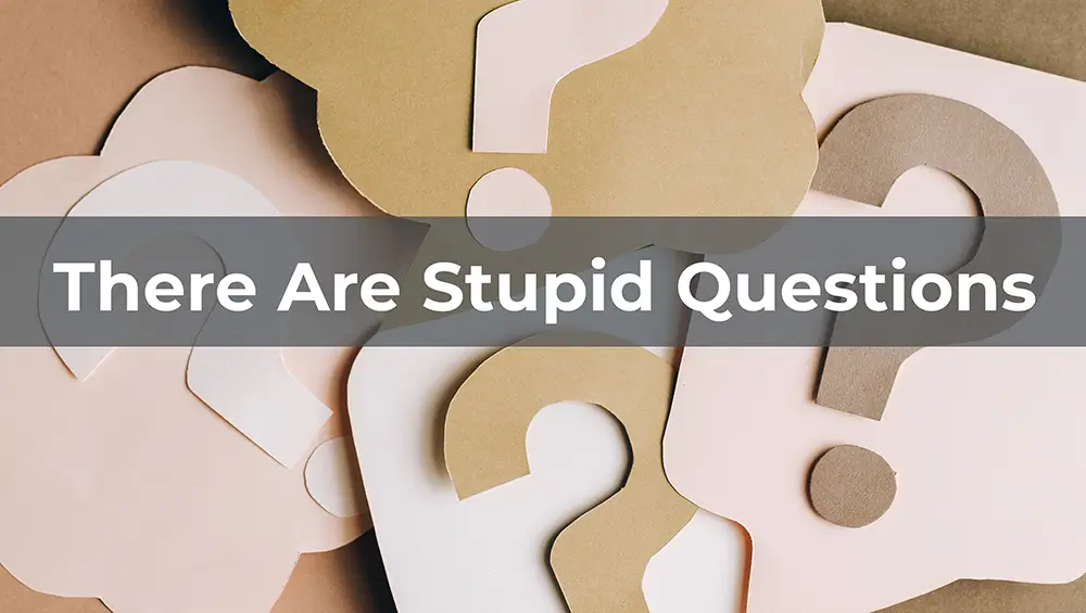 Yes indeed, there are stupid questions (in business analysis)!